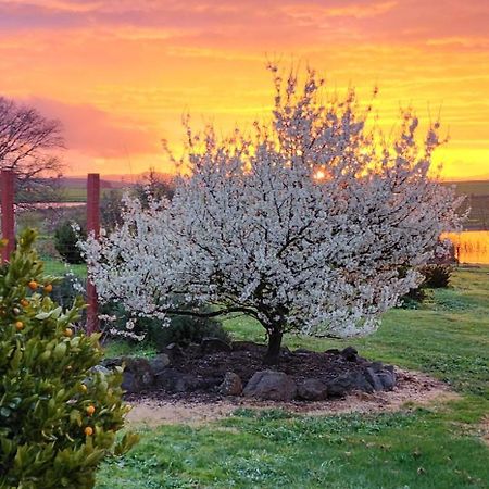 New Horizons Farm Stay Smeaton Buitenkant foto