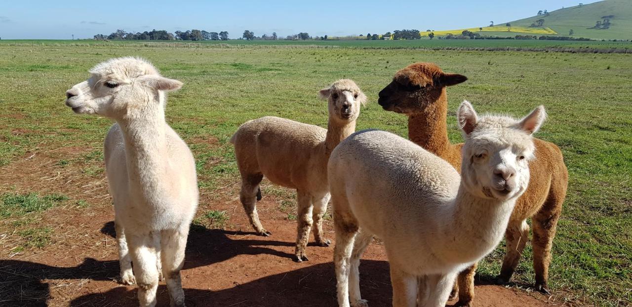 New Horizons Farm Stay Smeaton Buitenkant foto