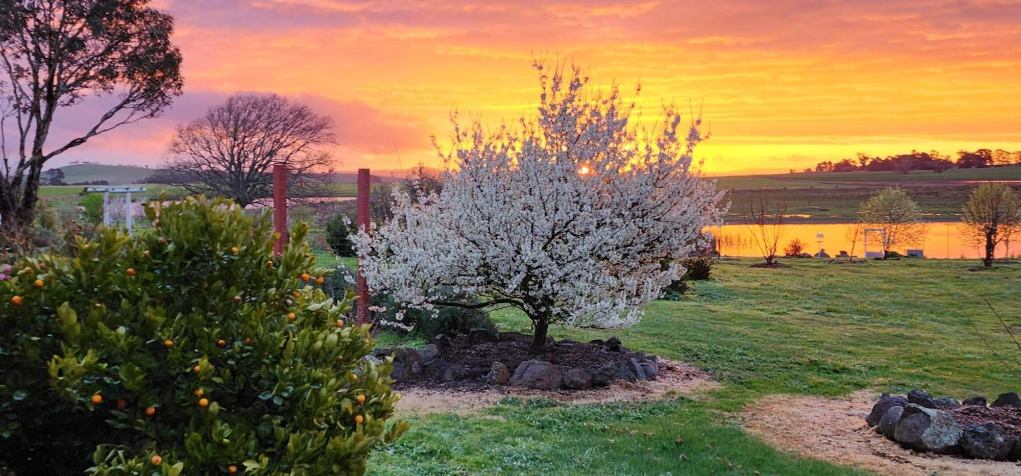 New Horizons Farm Stay Smeaton Buitenkant foto