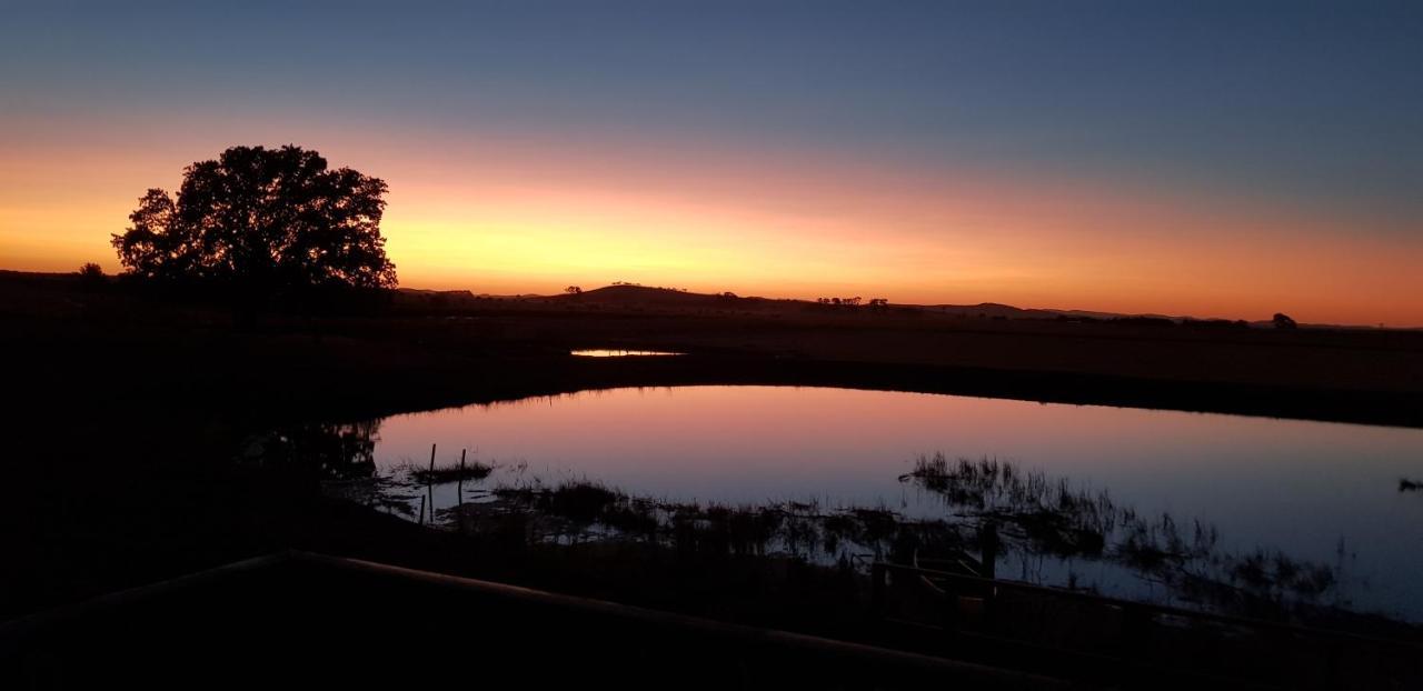 New Horizons Farm Stay Smeaton Buitenkant foto